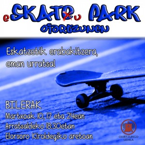Skate Park Oiartzunen