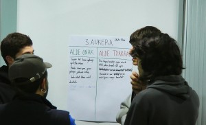 Skate Park prozesu parte-hartzailea OIARTZUN