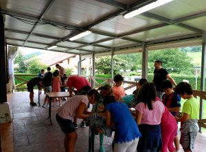 IMG_20170712_114925
