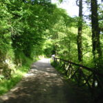 UZTAILAK 9, PLANGINTZA
