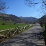 UZTAILAK 21, PLANGINTZA